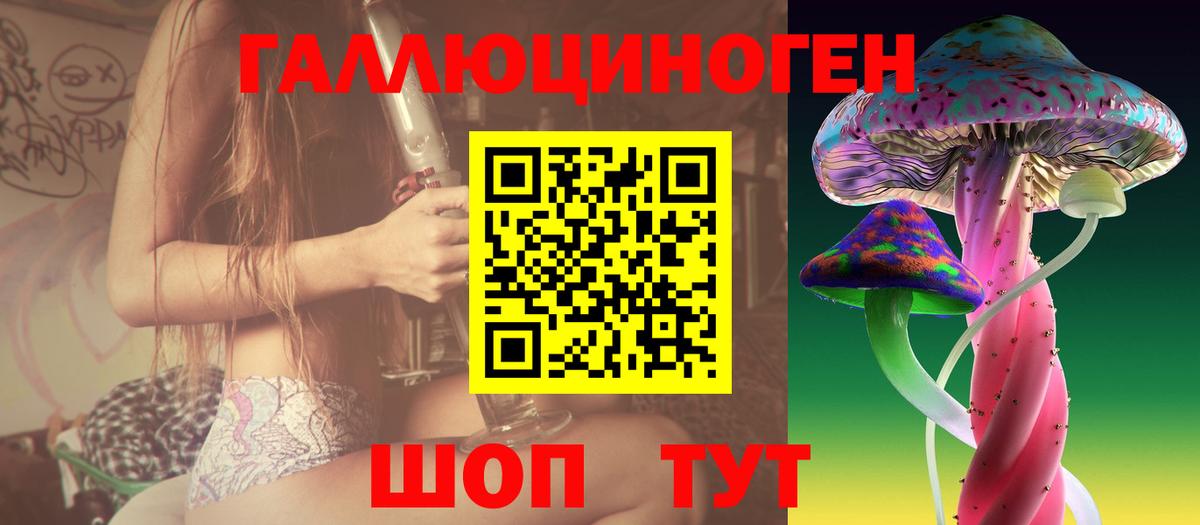 Вязники  Псилоцибиновые грибы GOLDEN TEACHER  где можно купить наркотик  Вход с VPN  Псилоцибиновые грибы мухоморы 